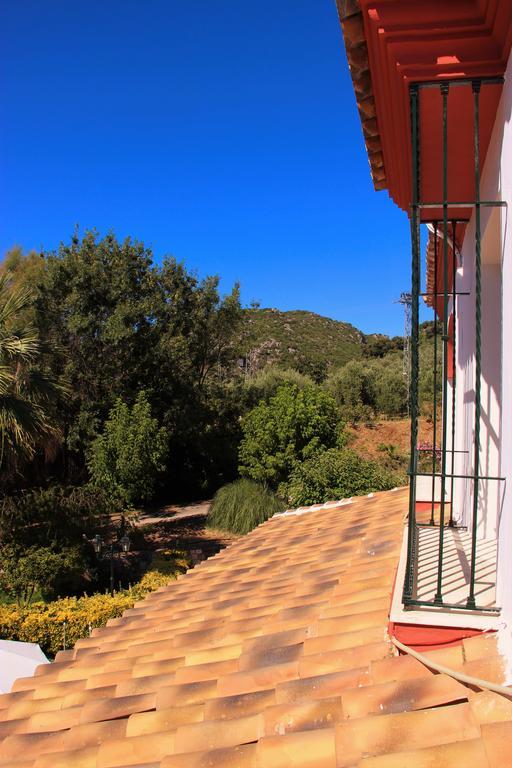 Hostal La Zamora Carcabuey 외부 사진