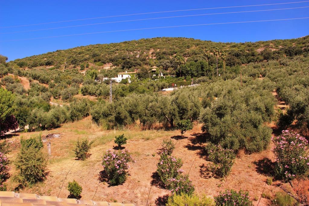 Hostal La Zamora Carcabuey 외부 사진